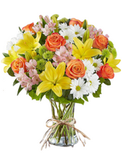 Carregar imagem no visualizador da galeria, Mais Brilhante - 4 opções de tamanho