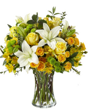 Carregar imagem no visualizador da galeria, Luxo Natural - 3 opções de tamanho