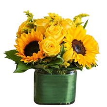 Carregar imagem no visualizador da galeria, Sunflowers