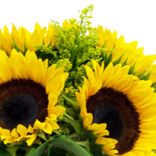 Carregar imagem no visualizador da galeria, Sol da Minha Vida