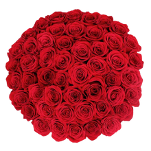 Carregar imagem no visualizador da galeria, Amor Infinito