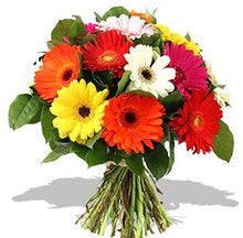 Carregar imagem no visualizador da galeria, Mix de Gerberas - Itaim Flores