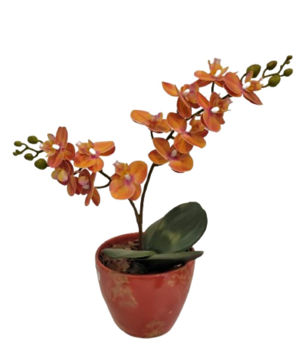 Vaso Mini Orquídea