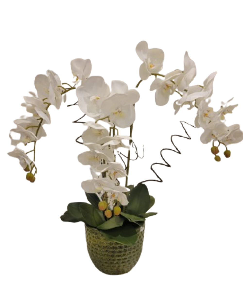 Vaso Trio de Orquídeas