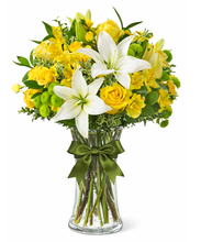 Carregar imagem no visualizador da galeria, Luxo Natural - 3 opções de tamanho
