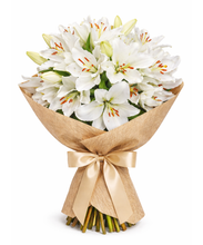 Carregar imagem no visualizador da galeria, Casa Blanca
