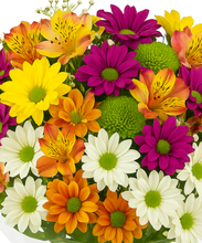 Carregar imagem no visualizador da galeria, Bouquet Flores do Campo
