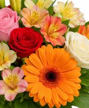 Carregar imagem no visualizador da galeria, Primavera
