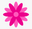Itaim Flores logo