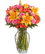 Carregar imagem no visualizador da galeria, Seja Luz - 4 opções de tamanho
