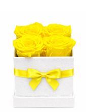 Carregar imagem no visualizador da galeria, 4 You - 6 opções de cores.
