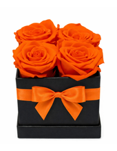 Carregar imagem no visualizador da galeria, 4 Love - 6 opções de cores. - Itaim Flores
