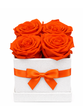 Carregar imagem no visualizador da galeria, 4 You - 6 opções de cores.
