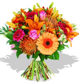 Primavera