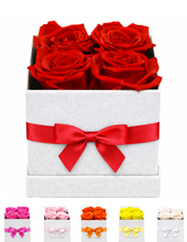 Carregar imagem no visualizador da galeria, 4 You - 6 opções de cores.
