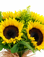 Carregar imagem no visualizador da galeria, Sol da Minha Vida
