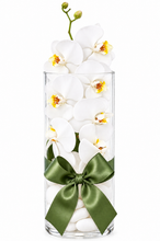 Carregar imagem no visualizador da galeria, Orquidea Moderna

