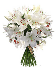 Carregar imagem no visualizador da galeria, Casa Blanca
