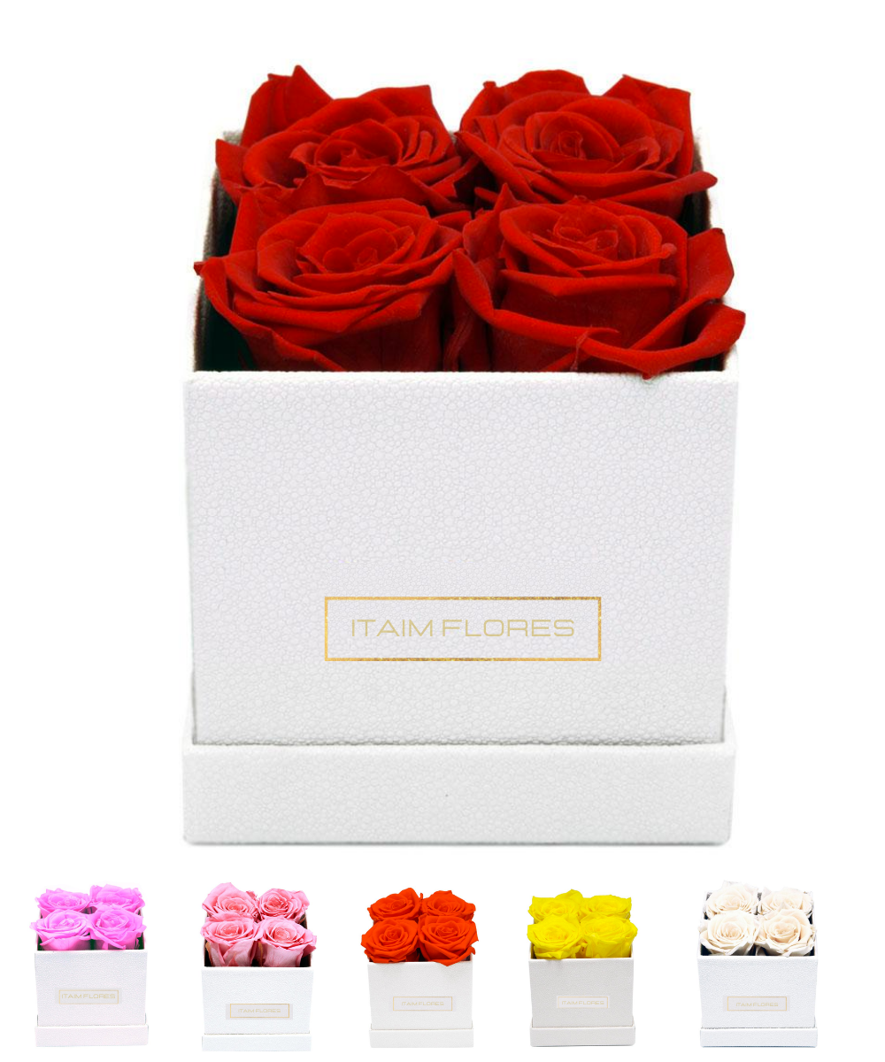 4 You - 6 opções de cores.