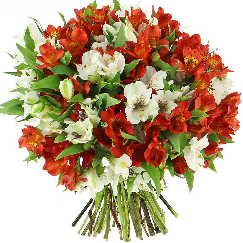 Bouquet Delicadeza - Itaim Flores