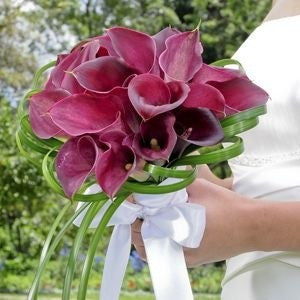 Bouquets de Noiva - Callas - Itaim Flores