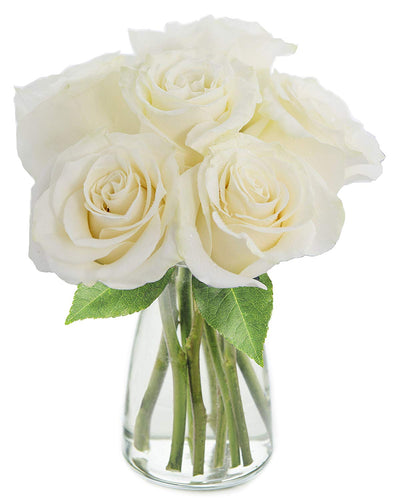 Sonho - 3 opções de tamanho - Itaim Flores