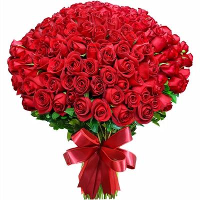 Bouquet 100, 200 ou 300 Rosas - Itaim Flores