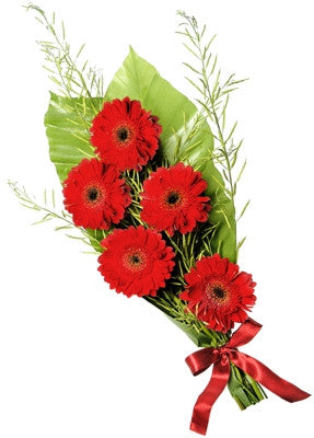 Bouquet de Gerberas - Itaim Flores