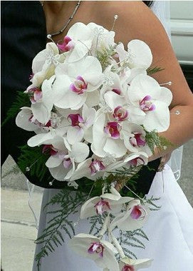 Bouquets de Noiva - Orquídeas - Itaim Flores