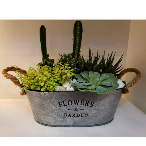 Terrário Flowers & Garden - Itaim Flores