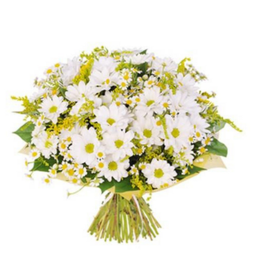 Bouquet de Margaridas - Itaim Flores