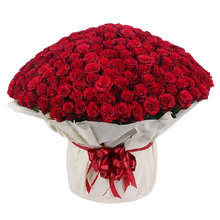 Carregar imagem no visualizador da galeria, Bouquet  Exuberante 500 Rosas
